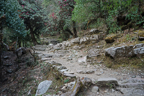 Kathmandu: 2-Day Hidden Trek to Tangu with Mountain Views