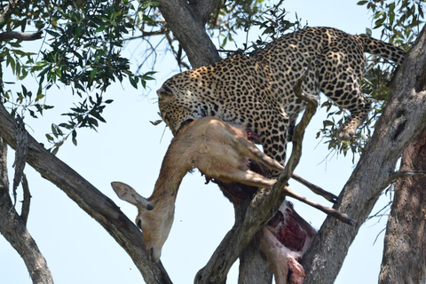Maasai Mara 3-Day Migration Window Journey