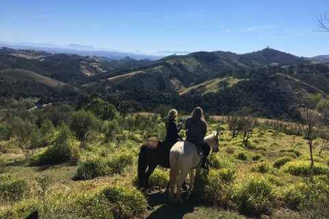 Fra Paraty: Privat rideoplevelse, picnic, chauffør