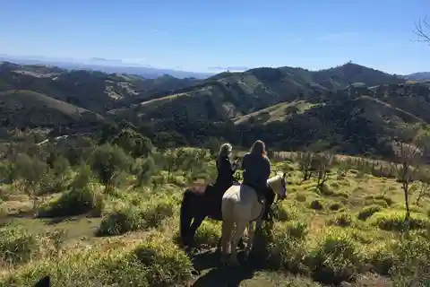 Saindo de Paraty: Passeio a cavalo privado, piquenique, motorista