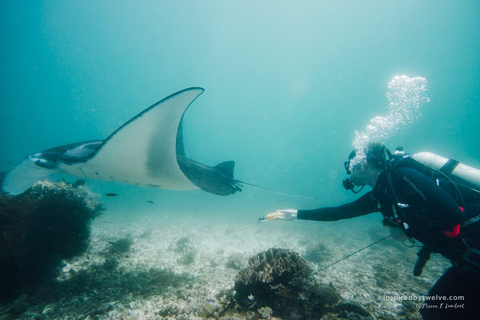 Compartir excursión de Komodo 3 días/2 noches