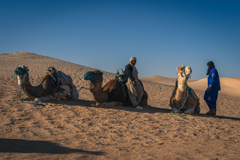 Djerba – Zarzis: Desert experience with a night under the stars