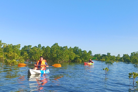 UZI ISLAND MANGROVE CONSAVATION WITH KAYAK TOUR PRIVATE TOUR WITH TRANSFER INCLUDED