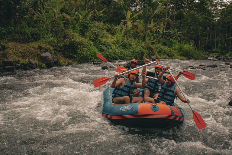 Bali: Telaga Waja White Water River Guided Rafting & Lunch White Water Rafting Trip with Meeting Point