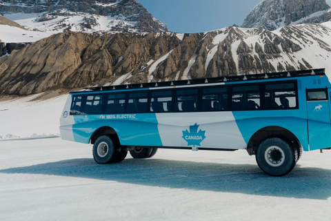 Columbia Icefield, Glacier Adventure & Skywalk Premium Tour