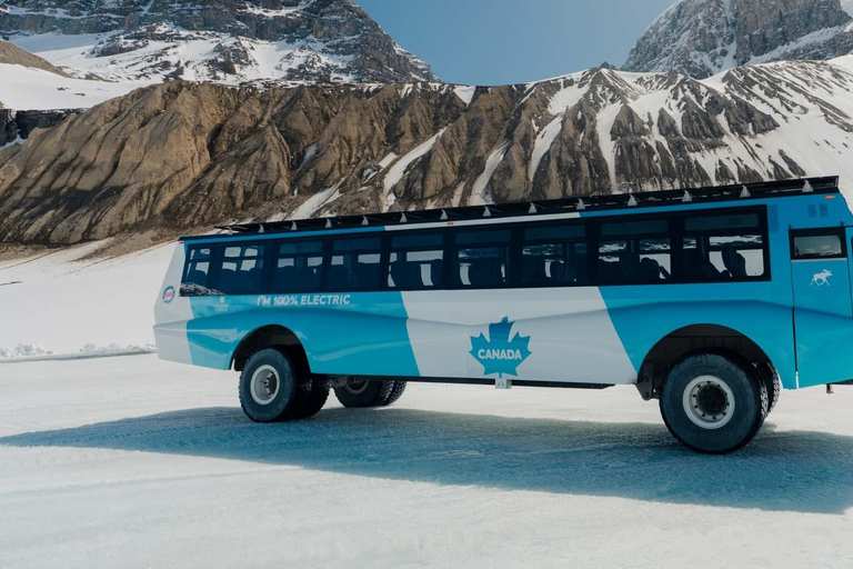 Columbia Icefield, Glacier Adventure & Skywalk Premium Tour