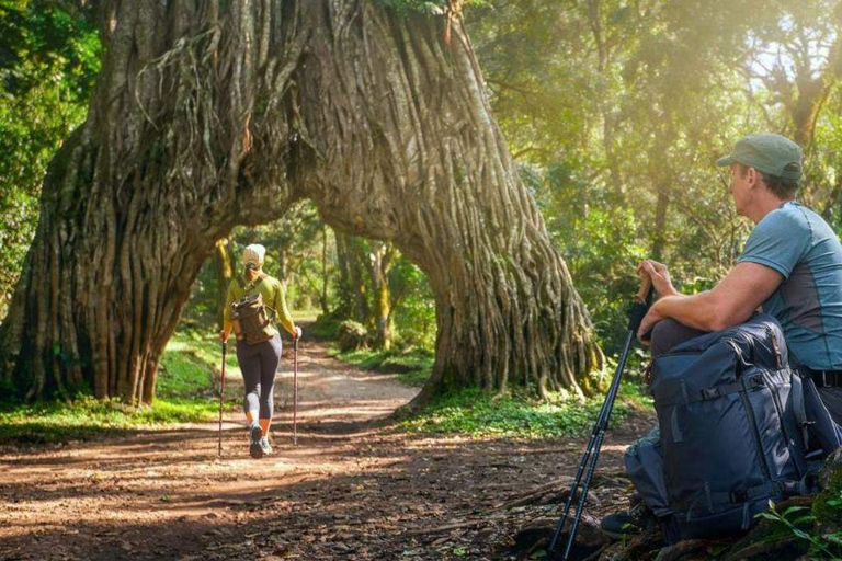 رحلة سفاري لمدة يومين لمشاهدة عجائب الطبيعة الأفريقية
