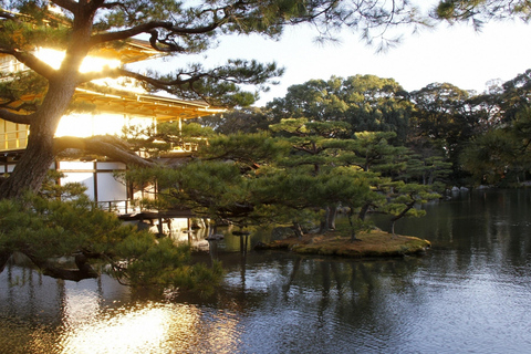 From Osaka/Kyoto: Kyoto & Nara Private Sightseeing Day Trip Pick-up From Osaka: Kyoto & Nara Private Day Trip