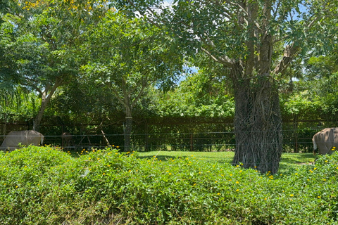فينبيرل فينووندرز نام هوي آن مع سفاري وحديقة مائيةجولة خاصة بدون بوفيه أو عربة