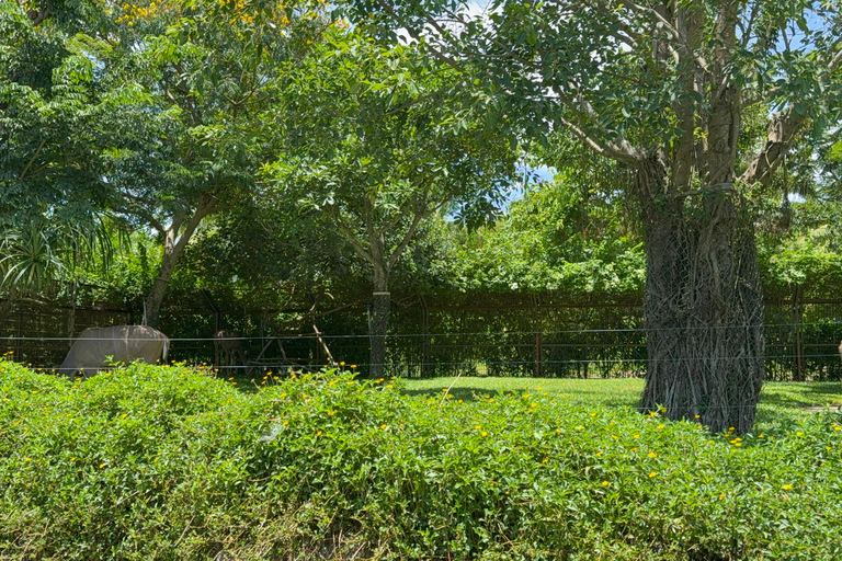 فينبيرل فينووندرز نام هوي آن مع سفاري وحديقة مائيةجولة خاصة بدون بوفيه أو عربة