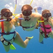 Cozumel: SNUBA Cozumel Underwater Adventure | GetYourGuide