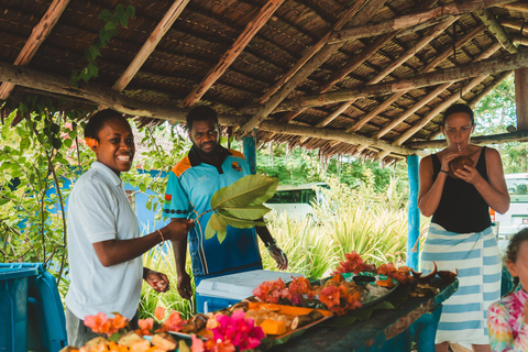 Port Vila: Taste, See and Swim Full Day Adventure in Vanuatu Taste, See and Swim Full Day Adventure in Vanuatu