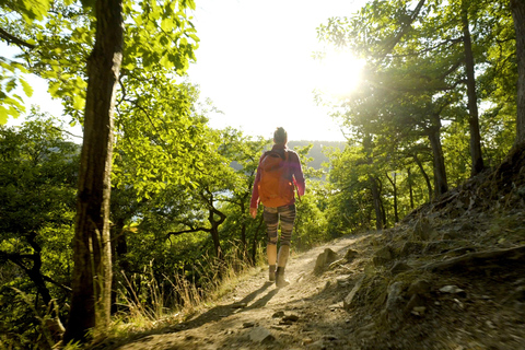 Kassel: Hercules Vital Tour - Guided Hike Through the Habichtswald Kassel: Hercules Vital Tour