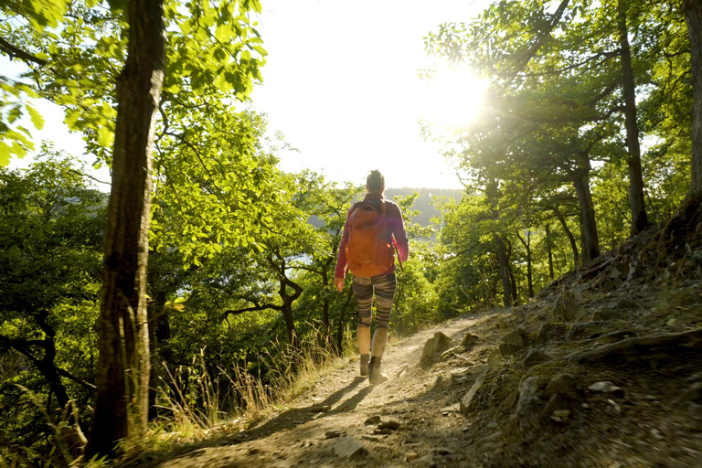 Kassel: Hercules Vital Tour - Guided Hike Through the Habichtswald Kassel: Hercules Vital Tour