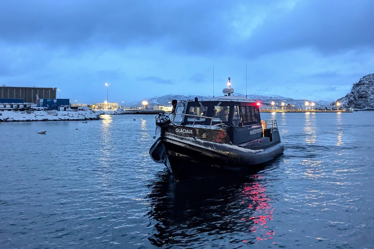 Tromsø: Orca and Whale Watching Heated Boat Trip Tromsø: Orca and Whale Watching comfort heated boat Trip