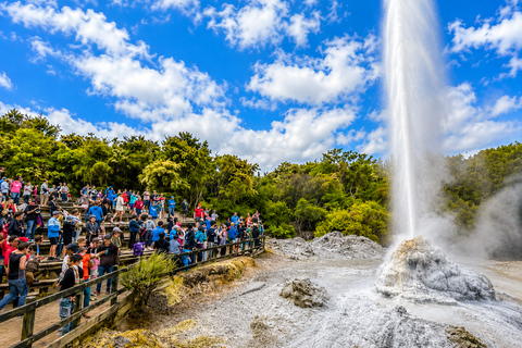 Tauranga: Wai-O-Tapu Thermal Wonderland Cruise Ship Tour