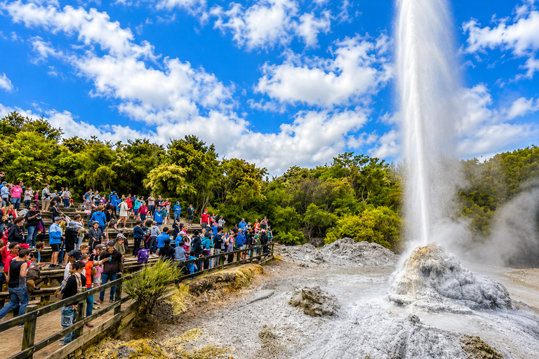 Tauranga: Wai-O-Tapu Thermal Wonderland Cruise Ship Tour
