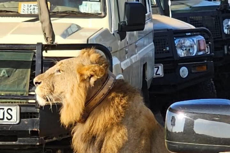 Nairobi: passeio de meio dia no Parque NacionalNairobi: tour privado de meio dia no Parque Nacional