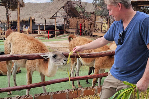 Cusco: Alpaca en Llama boerderij tour met transfer &amp; weefdemonstratie