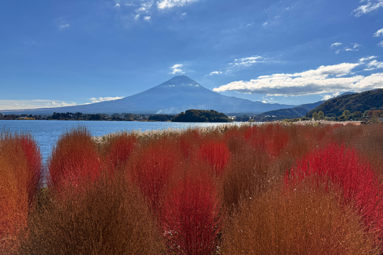 Tokyo: Mt Fuji A Journey Through Nature, History & Culture Tokyo: Mt Fuji A Journey Through Nature, History, & Culture