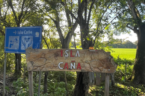 Isla Cañas: Newborn Turtle Release Tour with Breakfast