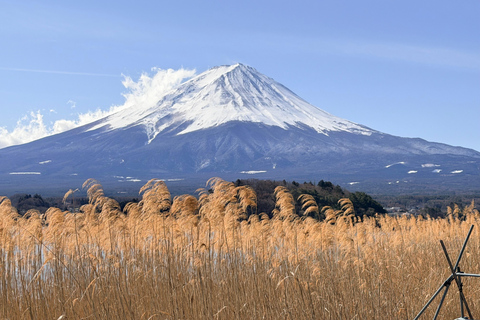 Tokyo: Private Daytrip to Mount Fuji - Fully Customizable Mt Fuji Private Luxury Van Tour (Customizable Experience)