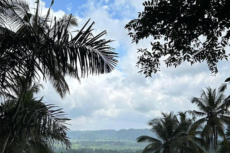 Best of East Bali: Gate of Heaven, Besakih & Water Palace
