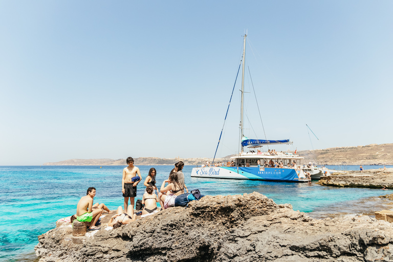 Malta: viagem à lagoa azul, praias e baías de catamarãViagem de catamarã Sea Breeze - 5/6 horas