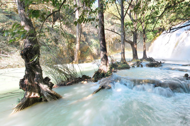Las Lagunas de Montebello and Chiflón Waterfalls Tour: in Spanish
