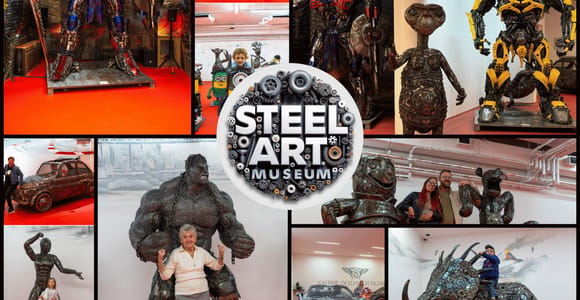 Prague: Steel Art Museum Entry Ticket