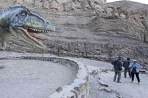 Arequipa:Dead Bull Petroglyphs, Querulpa Park and Chancharay