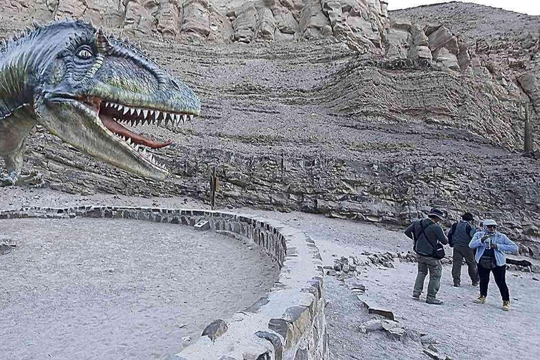 Arequipa:Dead Bull Petroglyphs, Querulpa Park and Chancharay