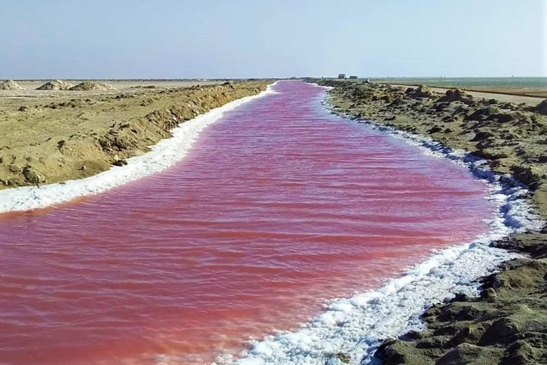 Small group Walvis Bay Lagoon tour with dunes & Swakopmund