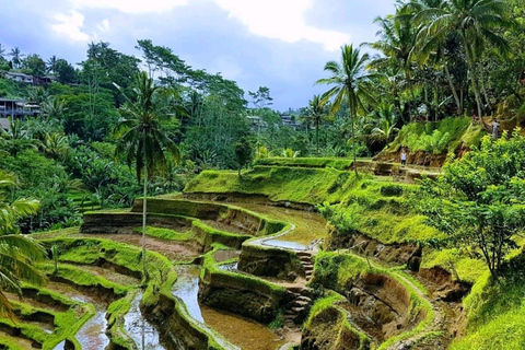 Ubud: Cascadas, Templo del Agua y Terrazas de Arroz Tour privadoTour privado con entrada Tikets