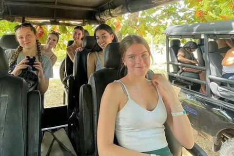 Ella to Udawalawe Transfer With Wild Safari Adventure