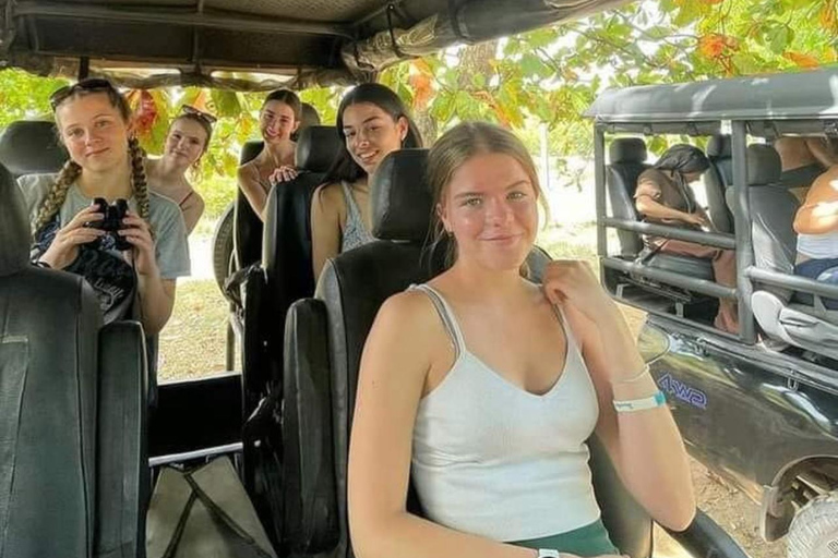 Ella to Udawalawe Transfer With Wild Safari Adventure