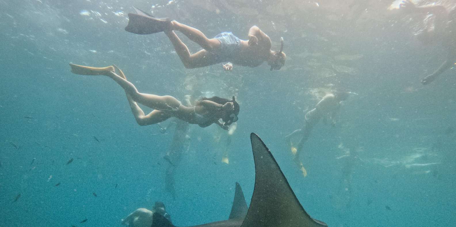 Bali: Premium Yacht Nusa Penida Manta Snorkeling & Land Tour — gallery image 60