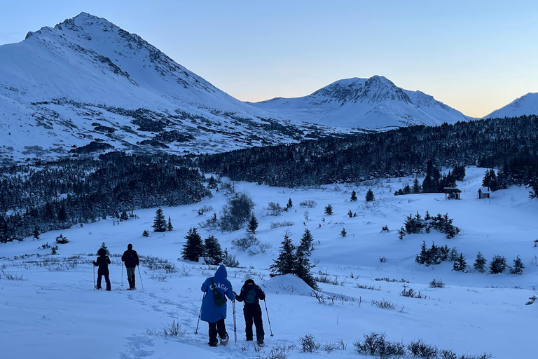From Anchorage: Glen Alps Beginner's Snowshoeing Adventure