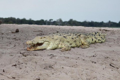 Nationaal Park Tanzania: 2 dagen 1 nacht Selous vanuit zanzibar