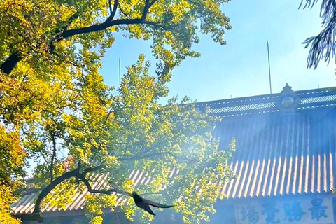 Hangzhou: Lingyin Temple & Feilai Feng Entry Ticket