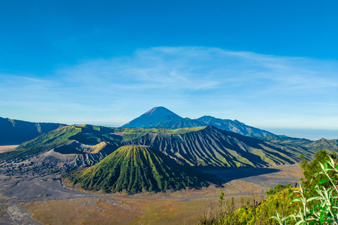 Van Jakarta : Yogyakarta naar Bali Tour