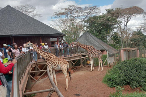 Visite de Karen Blixen, de la fabrique de perles et du centre des girafes