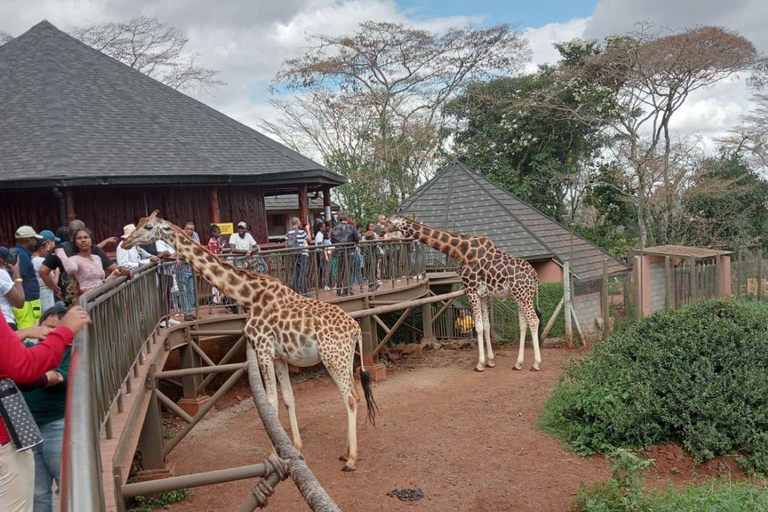 Visite de Karen Blixen, de la fabrique de perles et du centre des girafes