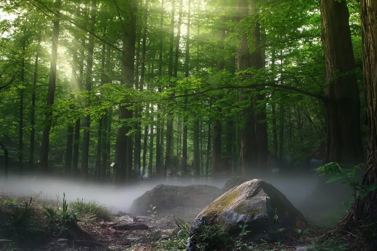 慕尼黑：国王湖一日旅行（含游船和中文导游）不含国王湖游船票