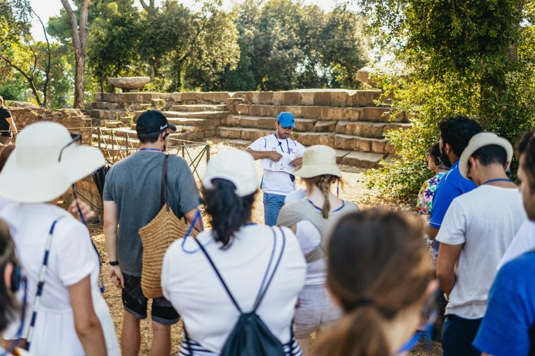 Pompeya: tour al parque arqueológico con entrada sin colas