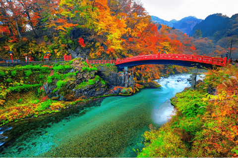 Da Tokyo: Escursione privata di una giornata intera a NikkoTour privato di un giorno di Nikko con visita panoramica di un giorno intero