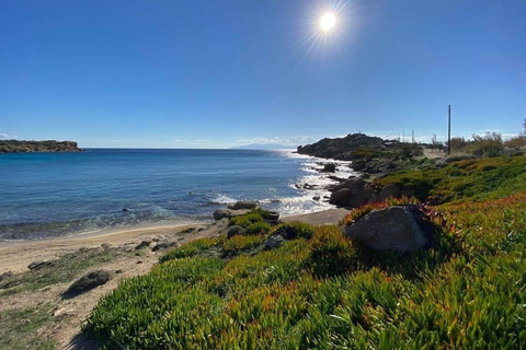 Cruzeiro guiado em Mykonos com um jipe exclusivo para passageiros: Visita obrigatória em 4h