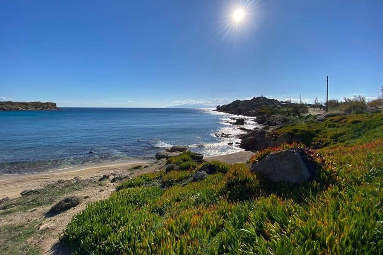 Cruzeiro guiado em Mykonos com um jipe exclusivo para passageiros: Visita obrigatória em 4h