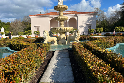 GROTTES DE RUAKURI ET JARDINS DE HAMILTON - Excursion d&#039;une journée au départ d&#039;AucklandGROTTES DE RUAKURI ET JARDINS HAMILTON - Excursion d&#039;une journée au départ d&#039;Auckland