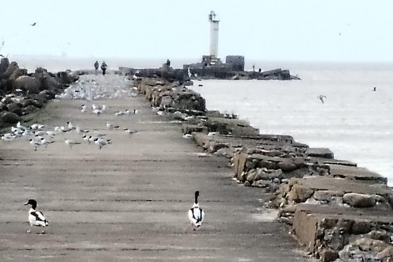 Bird Watching tour in Natural Park near Riga (Latvia)